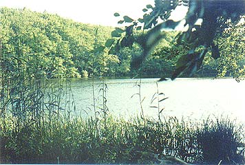 Le lac Hertha dans la pninsule de Jasmund, île de Rgen