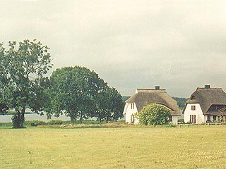 Casas con tejado de brezo (paja) en la pennsula de Ummanz, isla de Rgen
