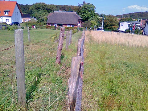 Rügen, vollerschlossenes Baugrundstück im Nationalpark Jasmund nahe an Sassnitz zu verkaufen: das Grundstück vom Süden her